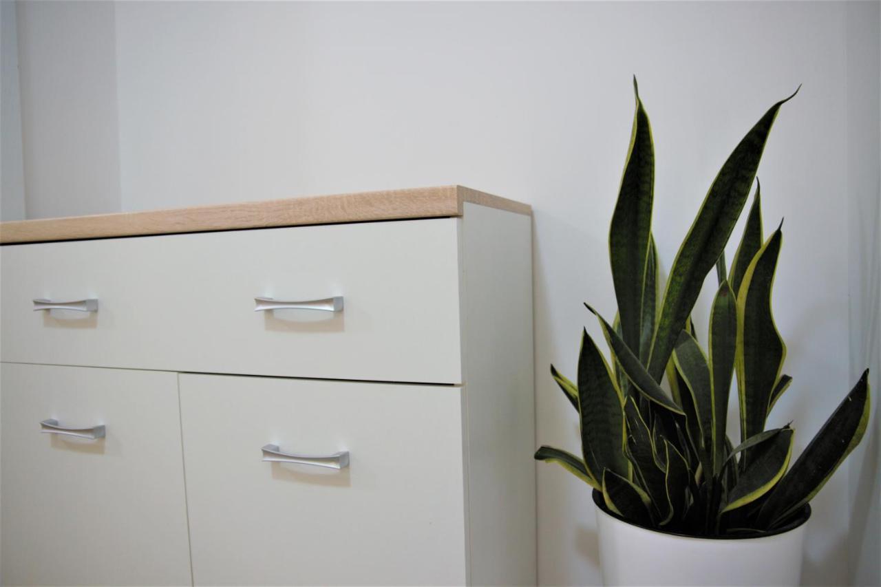 Central Modern Apt With Garden 斯特鲁加 外观 照片
